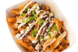 Brisket fries